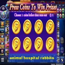 animal hospital rabbits